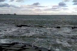 وحشت در مصر | زلزله ترکیه آب دریاى مصر را سیاه کرد +عکس