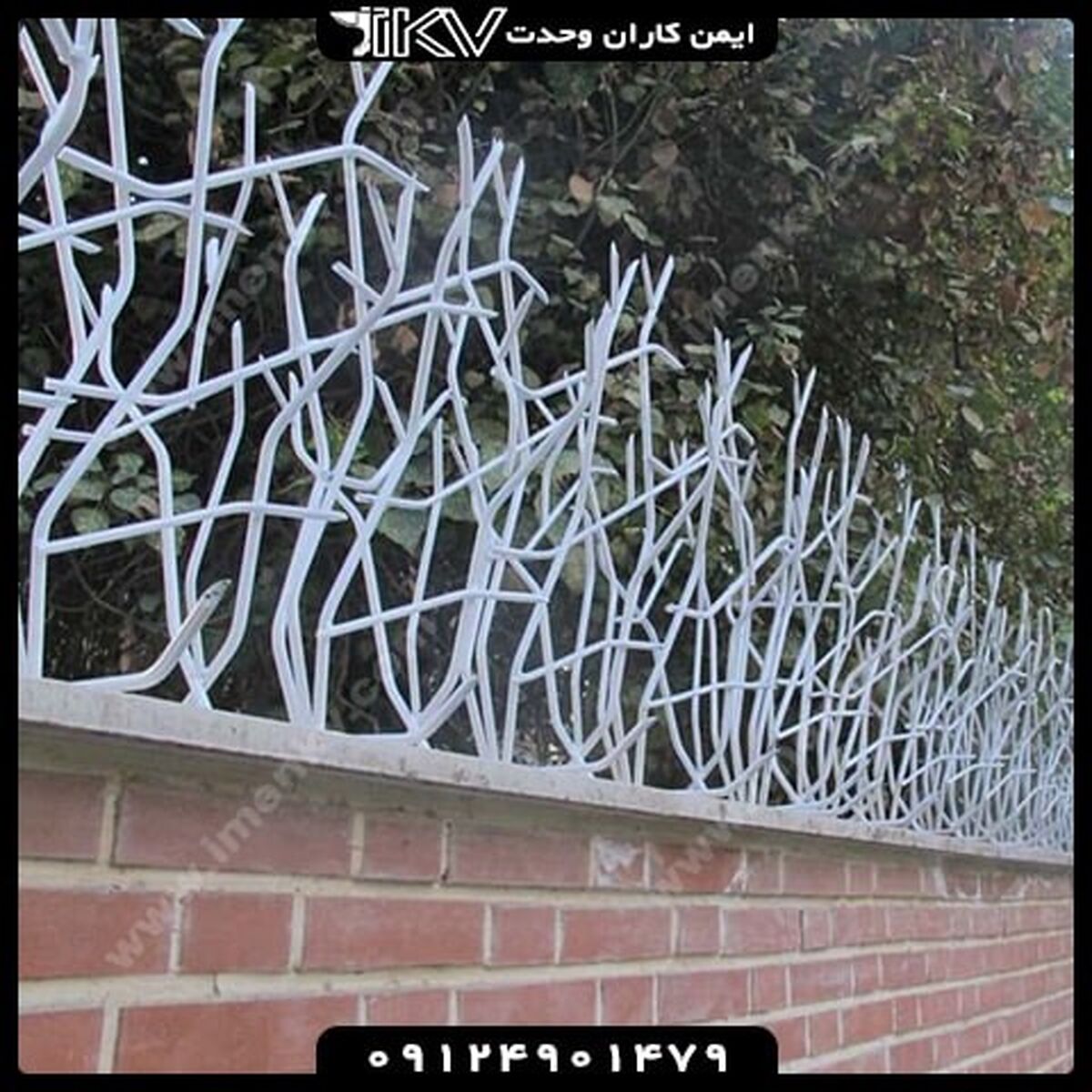 حفاظ شاخ گوزنی
