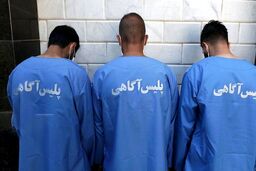 4 پسر جوان به اتهام آزار دختر نوجوان به دادگاه رفتند | شاکی دختر 13 ساله قبل از محاکمه ناپدید شد +عکس