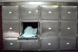 کشف جسد بدون سر و سوخته در باغی در شهریار |  داستان هولناک مرد قاتل برای کشتن راننده تاکسی 