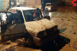 تصاویری از لحظه ورود یک تمساح بزرگ به این روستا/سوغات وحشت انگیز سیل برای این روستائیان جنوب +فیلم