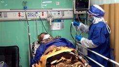 آخرین آمار کرونا/  ۱۱۴ بیمار دیگر فوت کردند