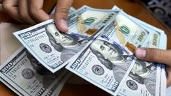 قیمت دلار امروز دوشنبه 22 دی 99 / قیمت دلار در بازار روند نزولی پیدا کرد + جدول