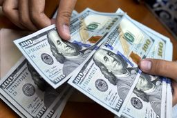 قیمت دلار امروز دوشنبه 22 دی 99 / قیمت دلار در بازار روند نزولی پیدا کرد + جدول