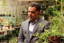 شب یلدا 99 / مردم نگران قیمت میوه شب یلدا نباشند 