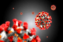 آخرین آمار کرونا/تعداد فوتی ها افزایش یافت