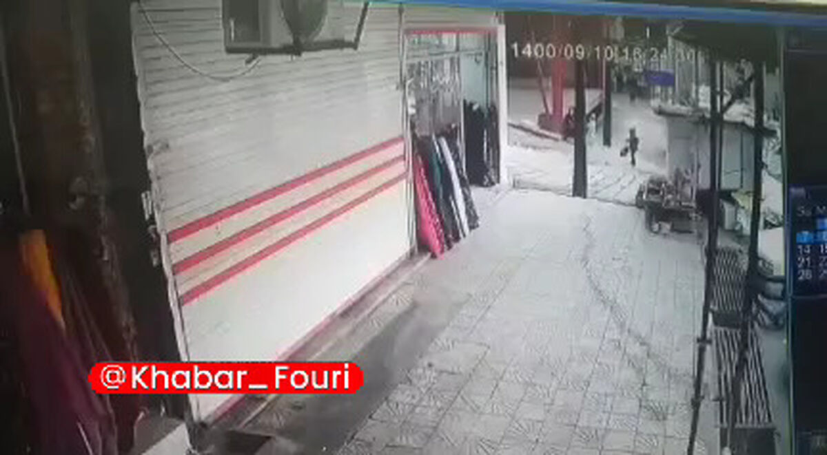حمله وحشتناک «گرگ» به شهروندان در کرمانشاه! +فیلم