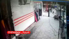 حمله وحشتناک «گرگ» به شهروندان در کرمانشاه! +فیلم