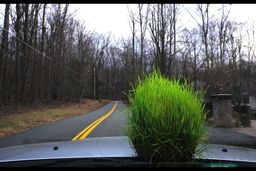 صاحبان پلاک خودرو پیش از سفر نوروزی بخوانند/نحوه ثبت پلاک خودرو در سامانه «ایران من» +لینک