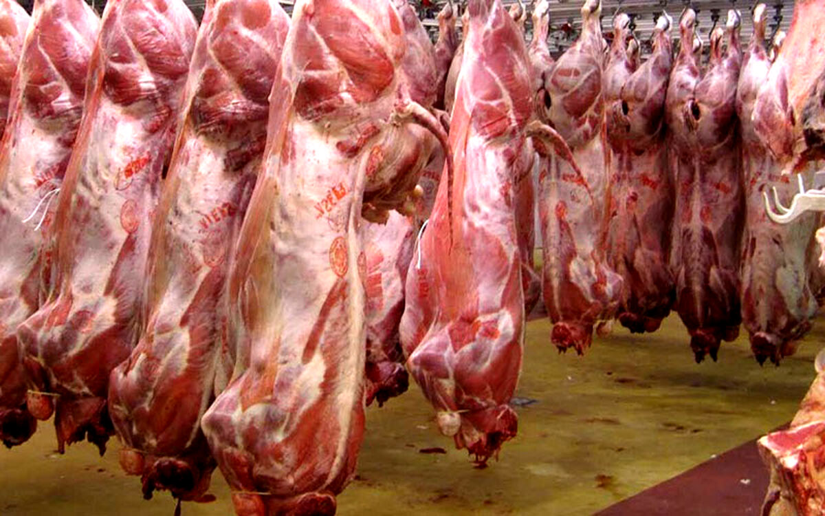 افزایش قیمت گوشت قرمز در بازار