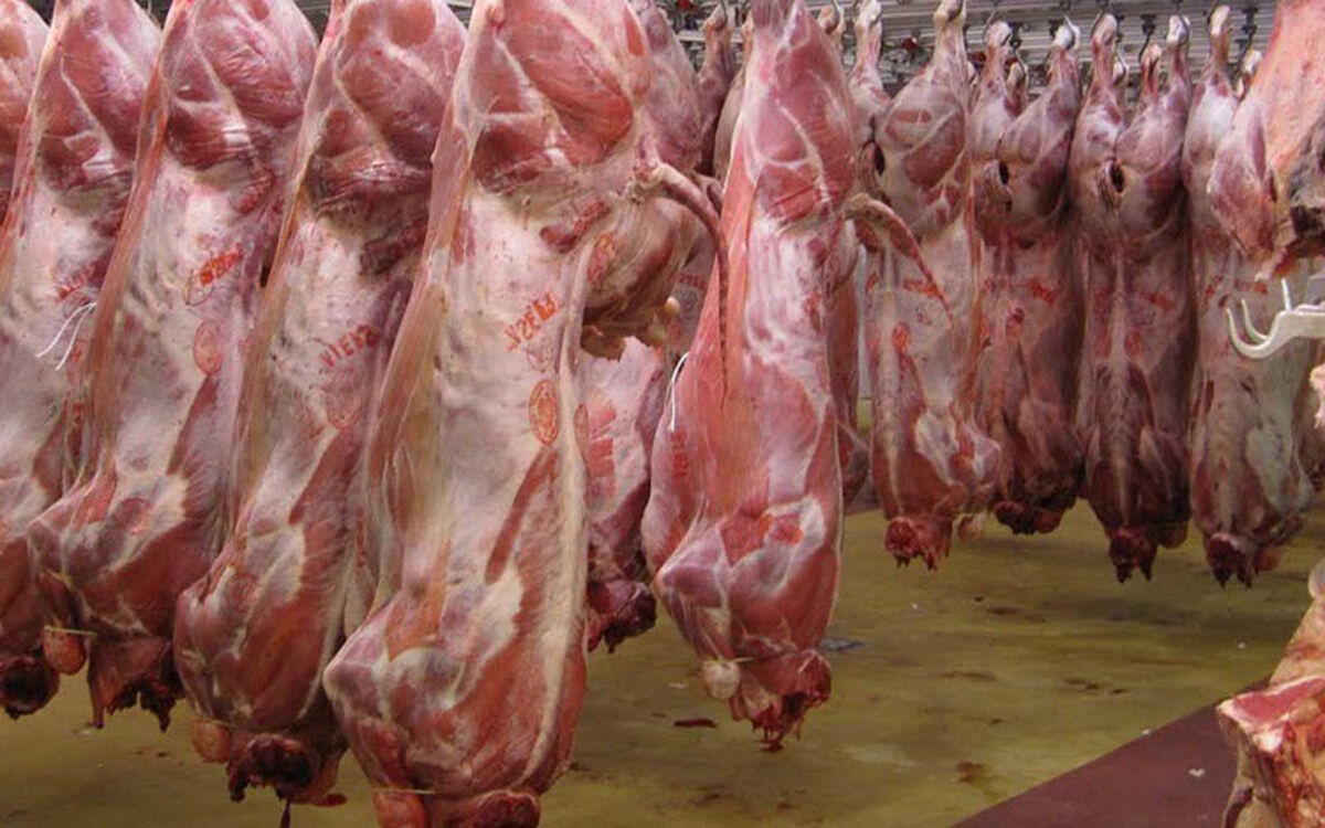 گوشت را بالاتر از این قیمت نخرید/ سناریوی جدید گوشت کیلویی ۳۰۰ هزار تومان!