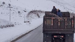 مه و کولاک برف در نیمه شمالی تهران