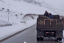 بارش باران و برف تهران تا کی ادامه دارد ؟ | هوا در آخر هفته سردتر می‌شود؟