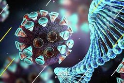 امیکرون به این شهر آبی هم رسید