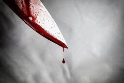 چاقو کشی در میدان اصلی محله | قتل خونین در تهرانپارس همه را ترساند