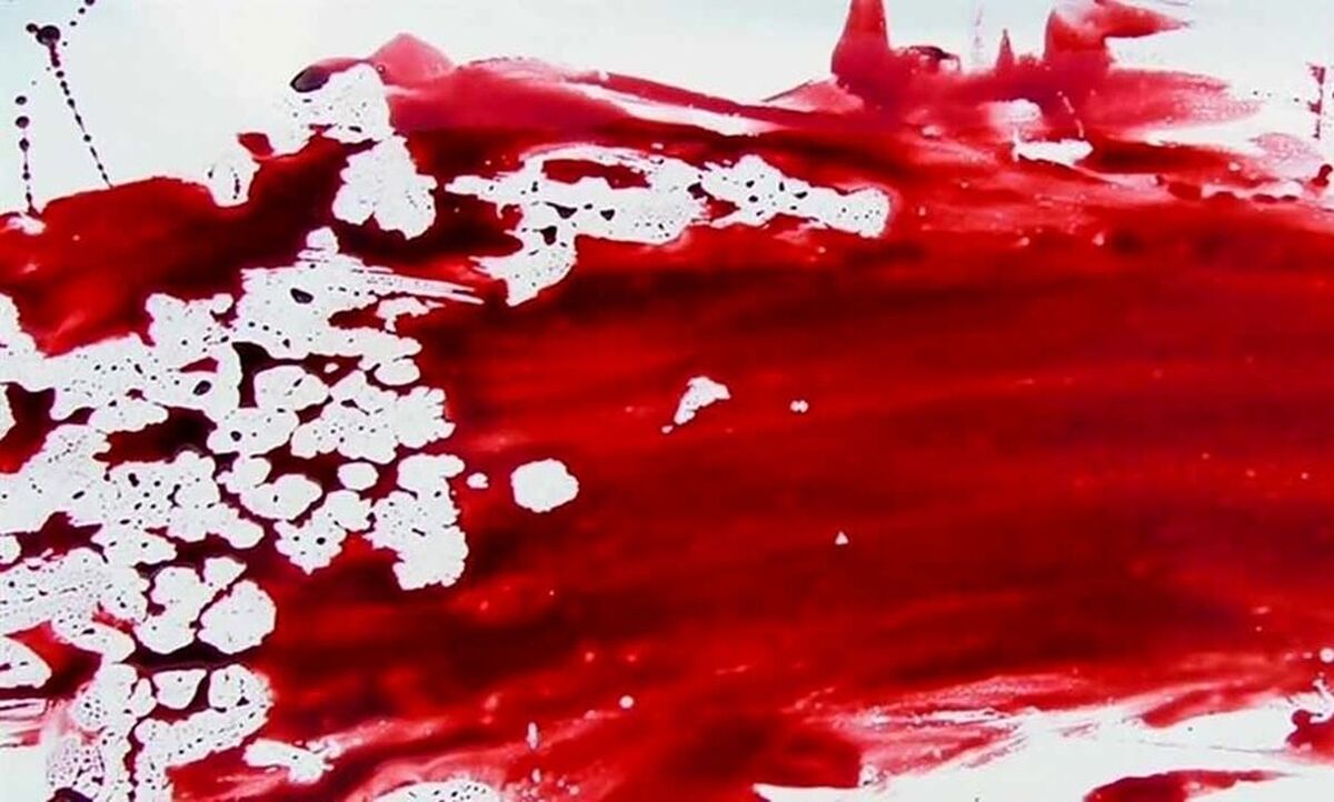 قتل وحشتناک ۶ نفر در یک درگیری خانوادگی | قاتل دستگیر شد