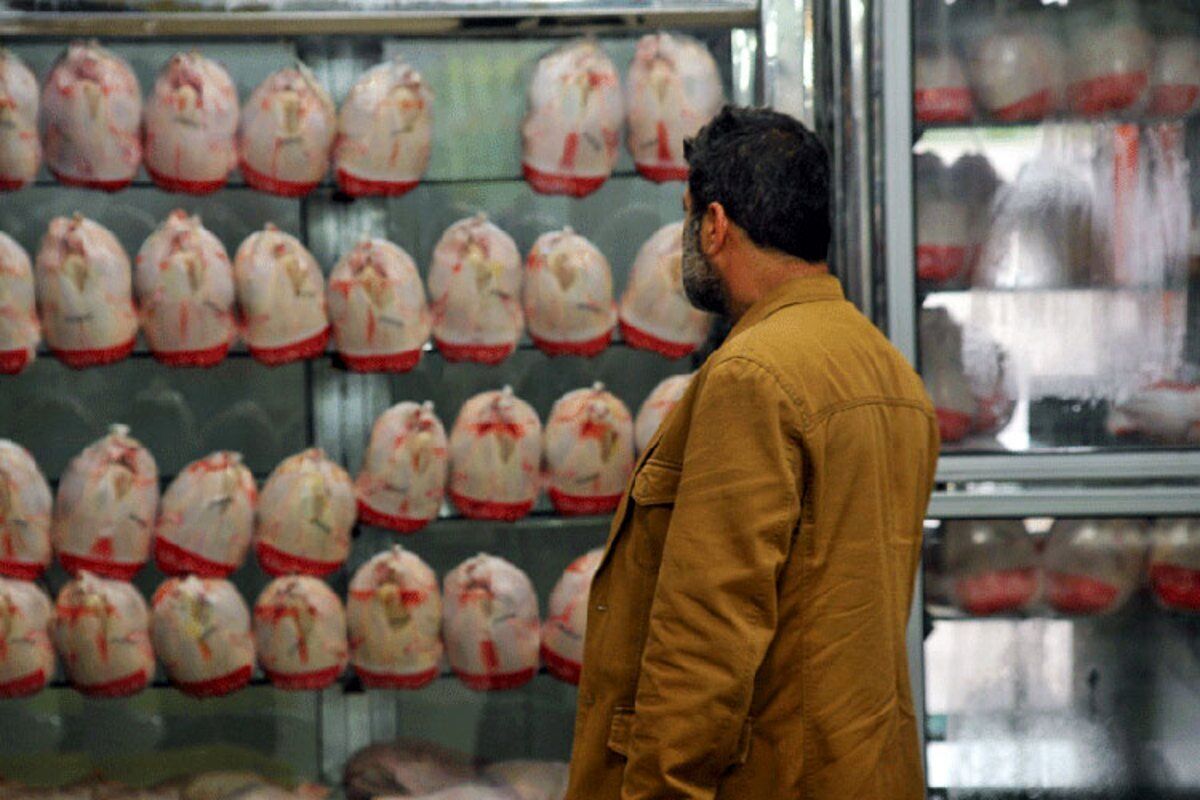 جدیدترین قیمت مرغ قطعه‌بندی در بازار | جگر مرغ کیلویی چند ؟