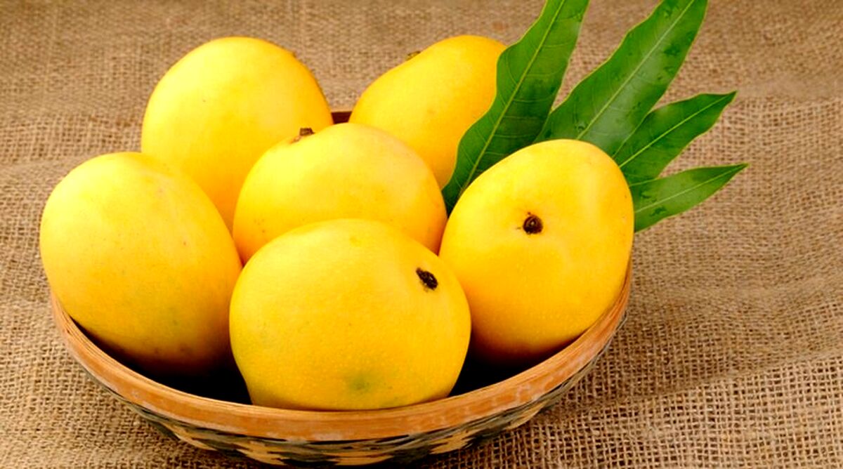 یه راه حل ساده برای لاغر شدن | میوه پرخاصیتی که خوردن آن شما را خیلی زود لاغر می‌کند