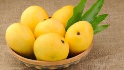 یه راه حل ساده برای لاغر شدن | میوه پرخاصیتی که خوردن آن شما را خیلی زود لاغر می‌کند