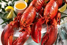 زلزله تحریم روسیه در ژاپن/سوشی گران شد