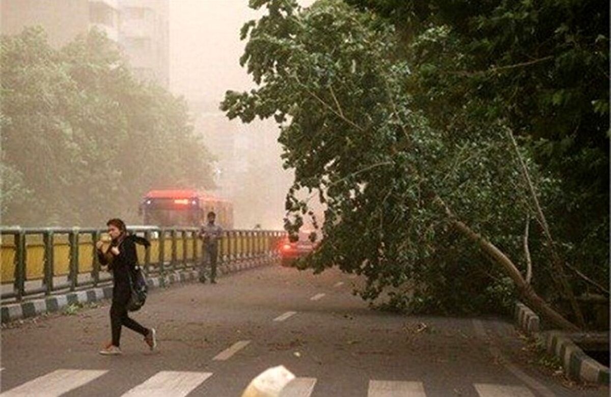 پیش بینی هواشناسی برای آخرهفته تهران | منتظر بارش باران در این روز باشید