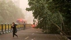 هشدار جدی هواشناسی به تهرانی ها | وزش باد خیلی شدید در این مناطق 