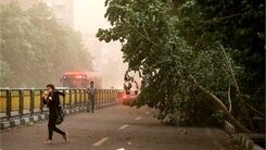 این مناطق هشدار هواشناسی را جدی بگیرند | صدور هشدار زرد برای روزهای سه‌شنبه و چهارشنبه 
