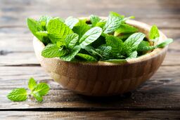 از خوردن نعناع در ماه رمضان غافل نشوید