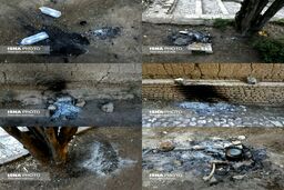 تصاویر خجالت آور از روز طبیعت! 