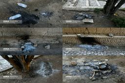 تصاویر خجالت آور از روز طبیعت! 