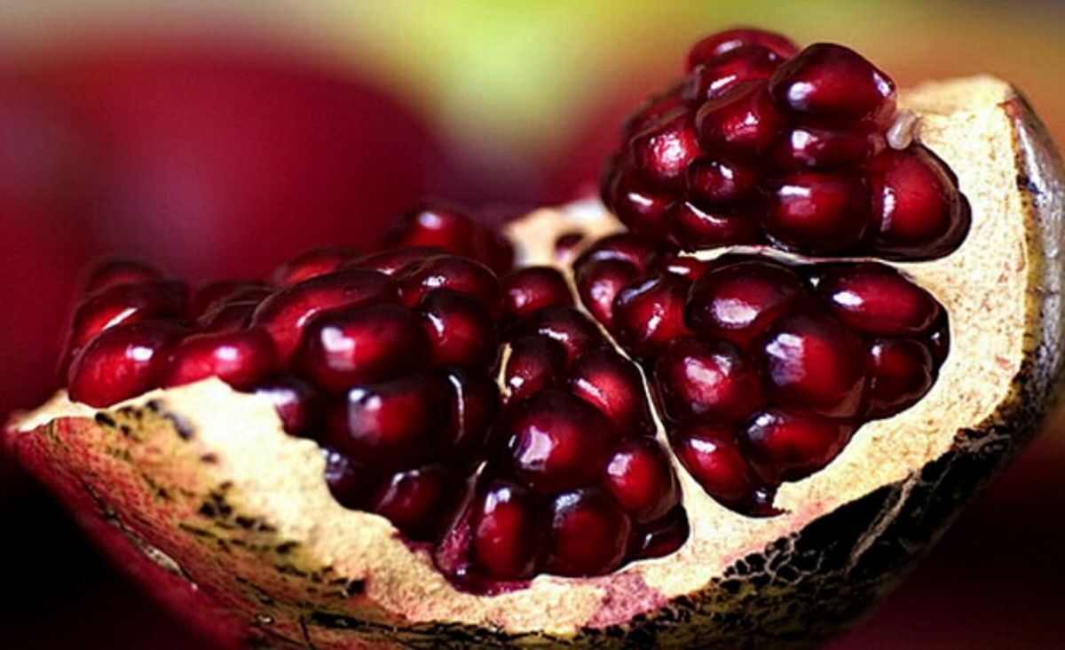 در فصل سرما این میوه را بخورید + جزئیات مهم