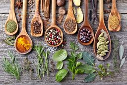 فواید عصاره پودری چای سبز چیست؟