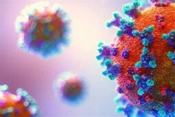 این افراد با کرونا میلیاردر شدند!