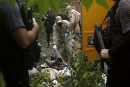 کشف ۸ جسد در باتلاق /شکنجه قربانیان قبل از مرگ+عکس