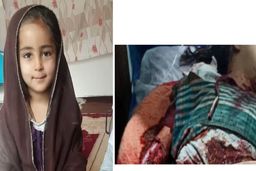 مرگ وحشتناک هدیه 6 ساله توسط سگ‌های ولگرد+فیلم