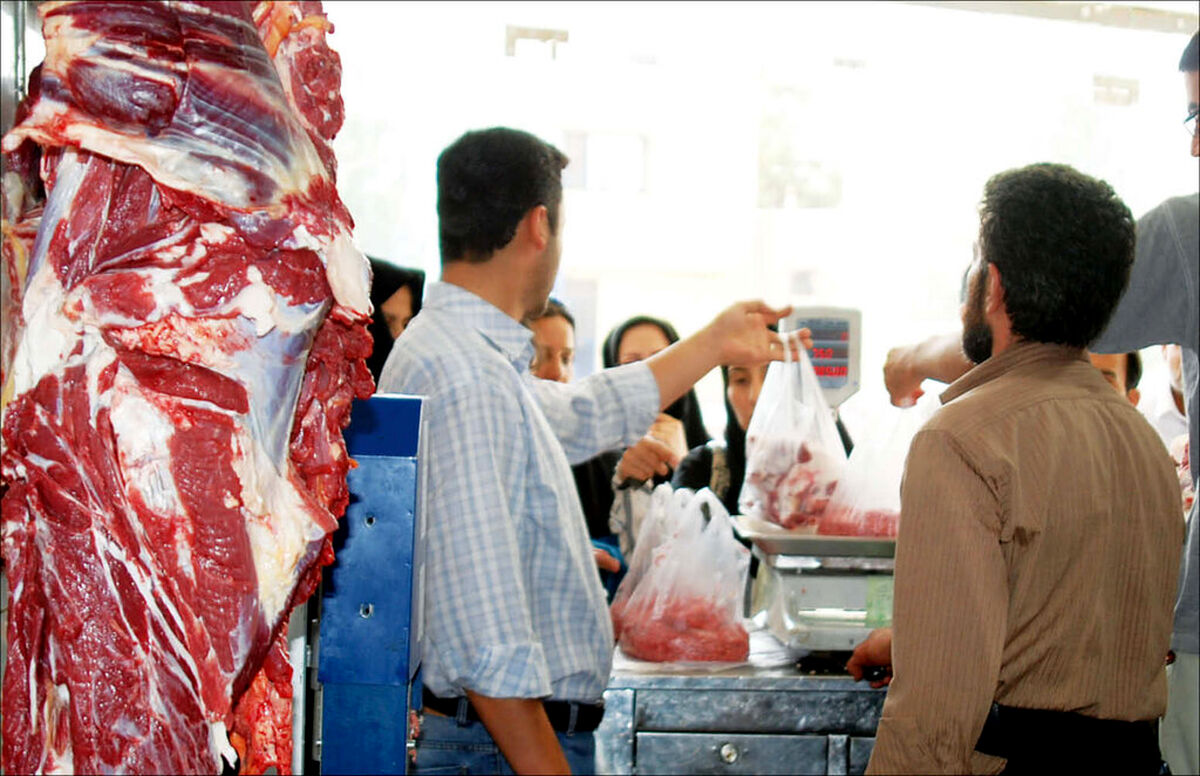 قیمت جدید گوشت قرمز اعلام شد | قیمت راسته گوسفندی چند؟ 