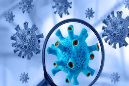 نخستین مورد امیکرون از این کشور وارد ایران شد