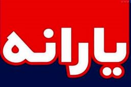 خبر جدید دولت برای مجردها درباره یارانه نقدی| مجردها با این روش یارانه خود را جدا کنند