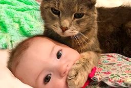 مذاکره عجیب یک کودک با گربه‌!+فیلم دیدنی 