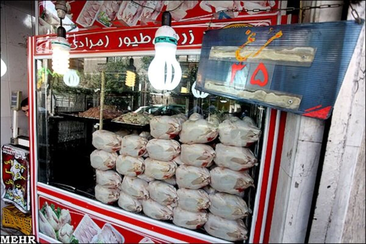 قیمت مرغ امروز 28 آبان نجومی شد | مرغ را کیلویی چند بخریم ؟