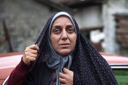 خلاصه داستان سریال افرا + جزئیات بیشتر 