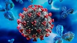آخرین آمار کرونا| فوت ۲۶ بیمار کرونایی  