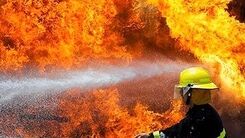 آتش‌سوزی وحشتناک در جاده چالوس+عکس 