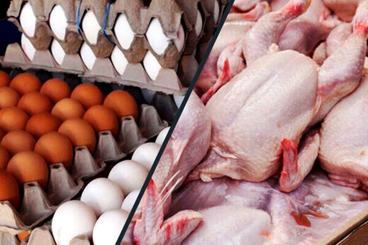 جدیدترین قیمت مرغ و تخم‌مرغ در میادین  روز شنبه | هر شانه تخم مرغ و هر کیلو مرغ چند شد؟