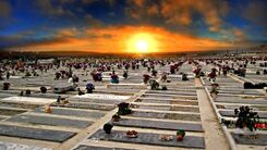 این جمعه به بهشت زهرا نروید | کدام مسیر‌ها مسدود می‌شوند؟