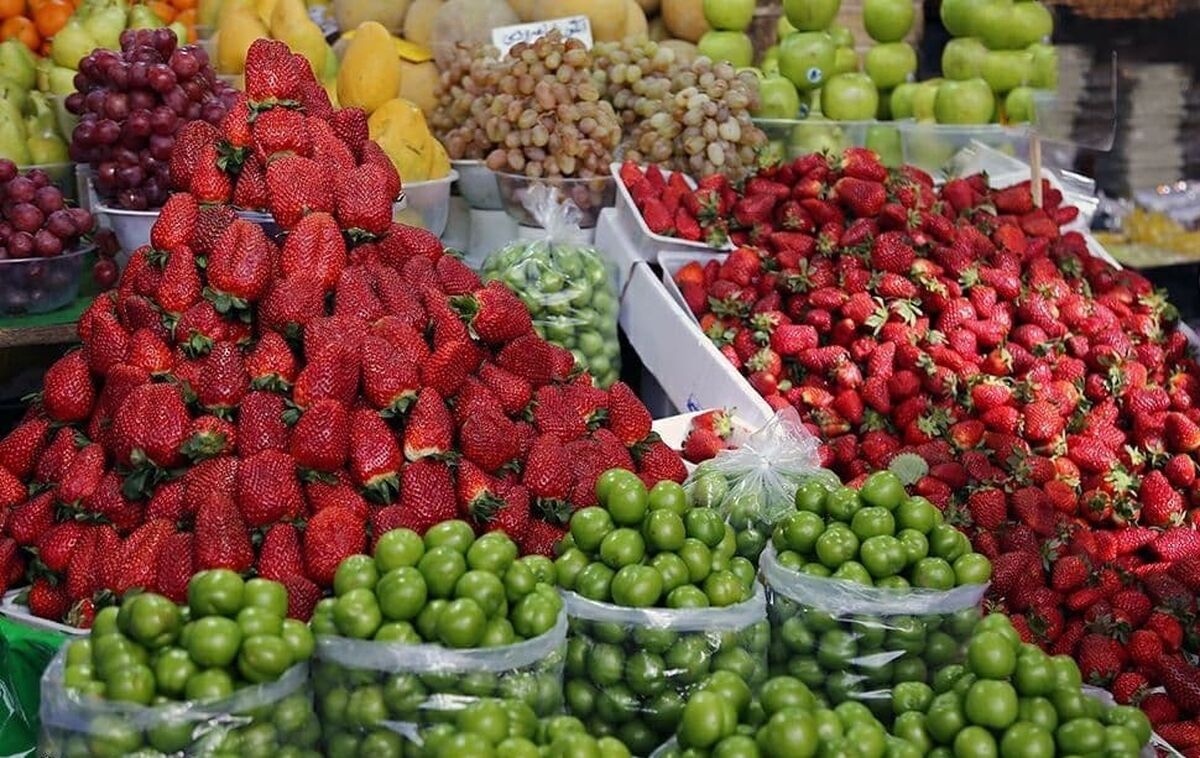 این میوه های پرمصرف ارزان شدند  