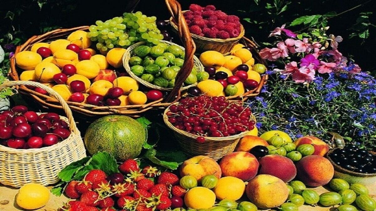 کاهش چشمگیر قیمت نوبرانه ها در بازار | ارزان ترین میوه بازار کدام است ؟