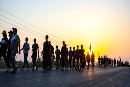 امسال در مراسم اربعین چند نفر فوت شدند ؟ | چند نفر از آنها بیمه بودند؟