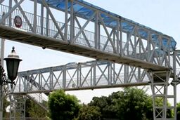 خودکشی وحشتناک مرد جوان!