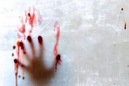 فیلم هولناک از دعوای خلافکاران با اسلحه و قمه در یاسوج